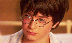 My Life Potter