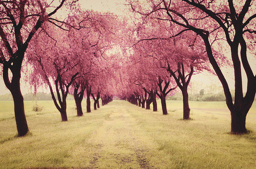 This IS the spot… if u know what I mean ;)