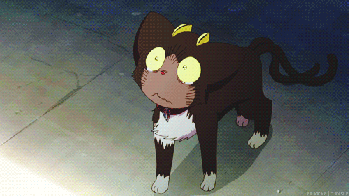  Why did you die, Shiro? I miss you, Shiro. I miss you so much. 