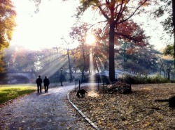 kirklove:  Central Park - This Morning Part III love fall. I love that Mother Nature breaks out her best palette of colors. In a way I like to think she’s saying, “Yeah, I know, a long cold bleak winter is coming, here’s a little something special