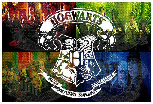 My Life Potter