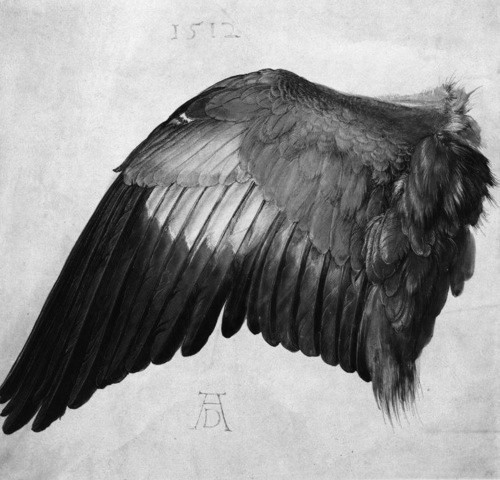 tw3ntybucks:  I fucking love Albrecht Durer. 