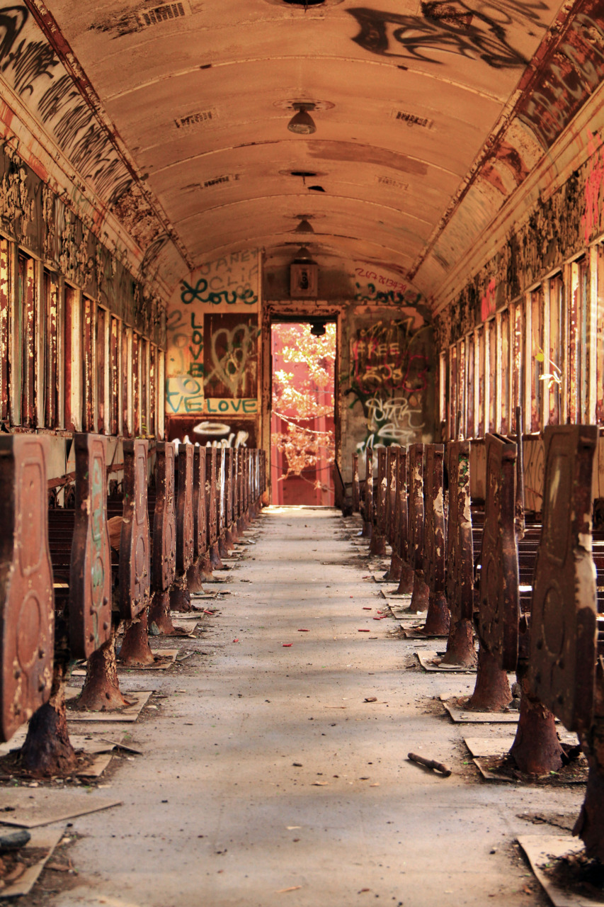 laney-formaldehyde:laney-formaldehyde:  Abandoned train car : photo by me Taken