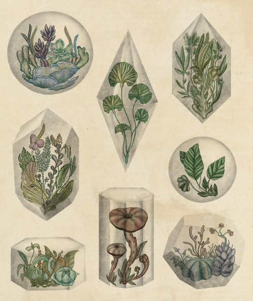 3rdquartermoon:  katie-scott:  New: Floating Terrariums   -