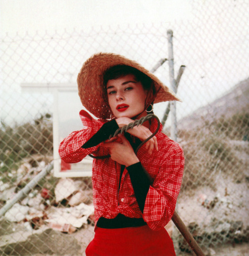 vintagegal:  Some of my favorite ladies in red. Rita Hayworth, Elizabeth Taylor and Ava Gardner. Brigitte Bardot, Lana Turner and Jayne Mansfield. Vivien Leigh, Audrey Hepburn and Gene Tierney. 