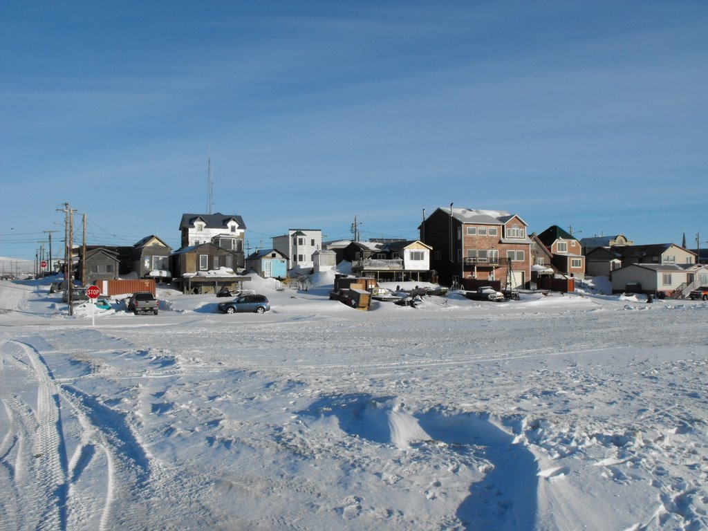 This is my winter trip to Nome, Alaska February... - Blue Star Portland ...