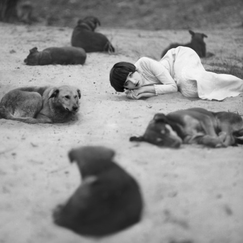 black-and-white:  bohemian rapsody | by oprisco 