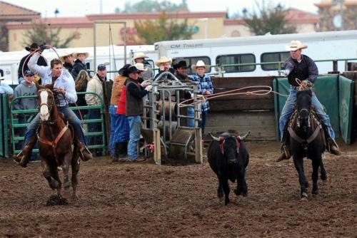 wildrodeochild:  my bestfriend & his roping partner last weekend (: 