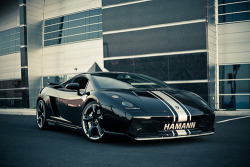 automotivated:  Lamborghini Gallardo (by innovphoto)