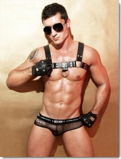 xtreamgear:  Hot dude in harness… 