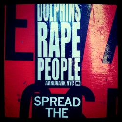 Dolphins rape people. Spread the word. (Taken