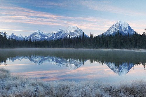 Fryatt Ponds, Jasper National Park, Alberta, Canada© Pete Carroll