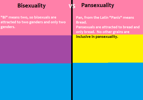 emiello: confessionsofahalfdyke:  vioskunk:  Bisexuality vs Pansexuality explained. [based on silly 