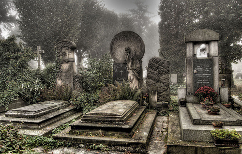 godessofhell:  . (by Stevacek) 