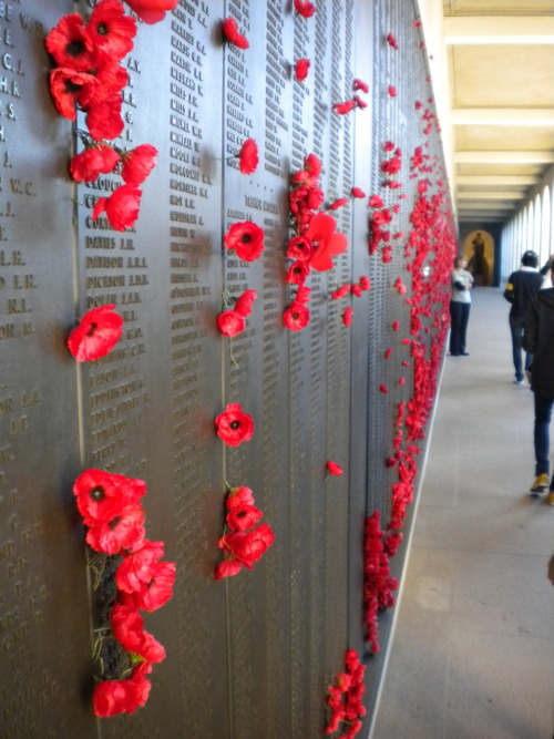 exot-i-c:  They shall grow not old, as we that are left grow old:Age shall not weary them, nor the years condemn.At the going down of the sun and in the morningWe will remember them. 11/11/11 
