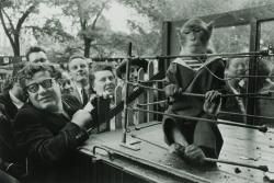 Les Animaux Superieurs photo by Robert Doisneau,