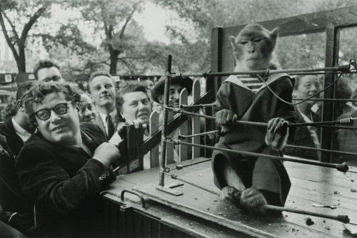 Les Animaux Superieurs photo by Robert Doisneau, 1954