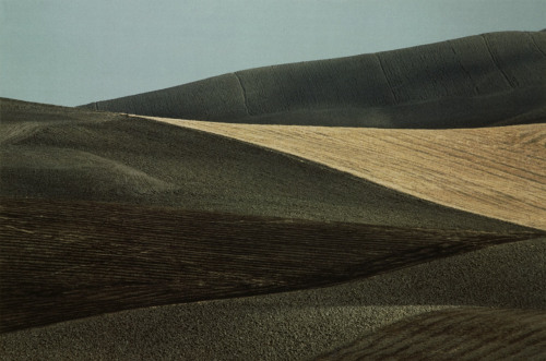 Puglia, Les Pouilles photo by Franco Fontana, 1975