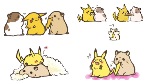 gottacatchemall:  [Pikachu & Hamsters] 