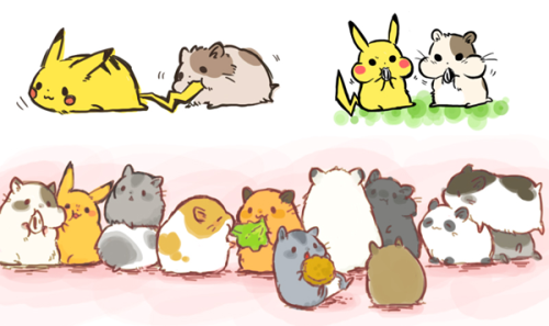 gottacatchemall:  [Pikachu & Hamsters] 