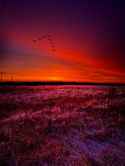 agoodthinghappened:  Early to Rise  by PhilKoch on Flickr. 