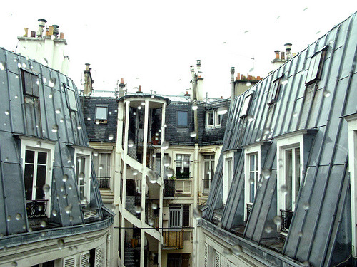 savingtigerlily:  Paris in the rain (by the cherry blossom girl) 