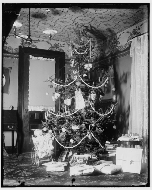 Christmas tree in the Wright home, 7 Hawthorn Street, Dayton, Ohio1900