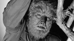 slicesofyou:  universalmonstersblog:  Fact 23: Dracula, Frankenstein’s monster, the Mummy, and the Gill Man have all been played by different actors through out all of their movies. However, Lon Chaney Jr. is the only actor to ever play the cursed Larry