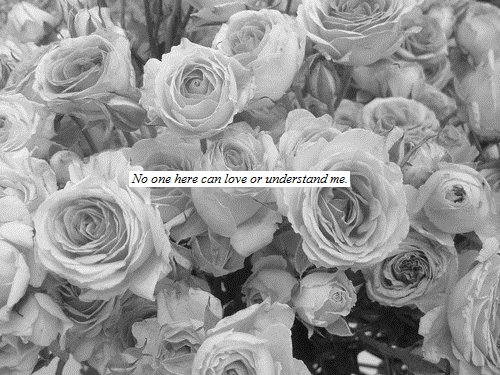 Leanne ♡