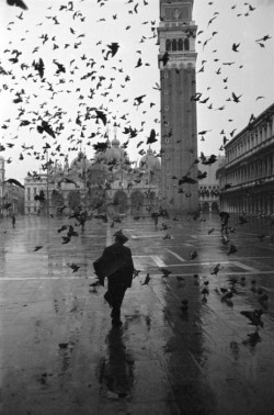 la-pitonisa-tropical:  Venice - Piazza San Marco 