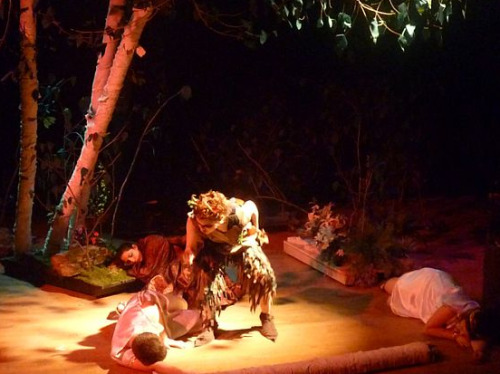 hiwamu:oh i found more picturesmidsummer nights dream ‘11