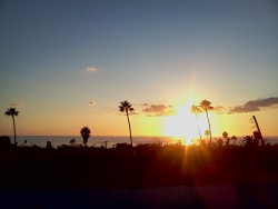 ohisthislove:  cali sunset<3 