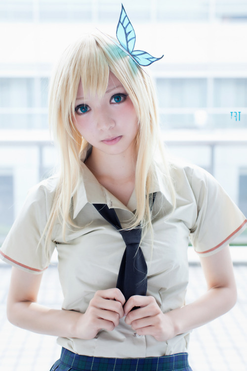 cosplaygirl:2011/11/13　ＴＦＴ | 01倍返しＮ