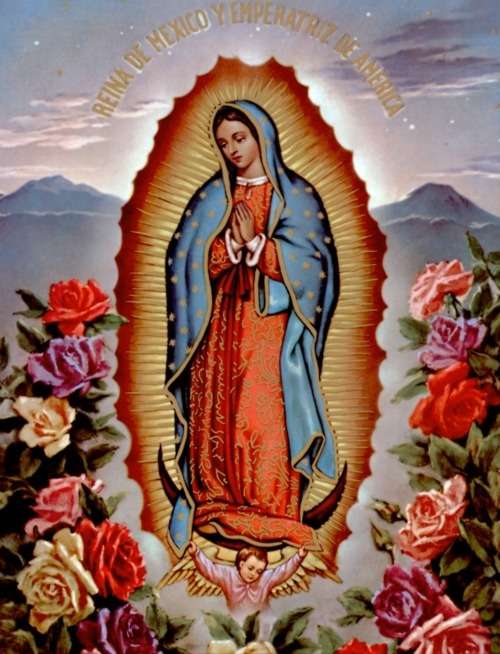 Pura Vida.