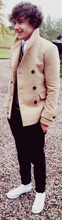 Sinonimo de perfección? Rebloguea si eres una awesome directioner 