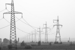 black-and-white:  High tension in the mist