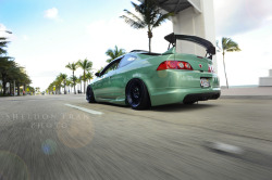 tunerelite:  Midori Integra. 