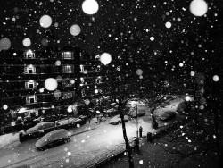 shalaineramos:  Snow please :) 