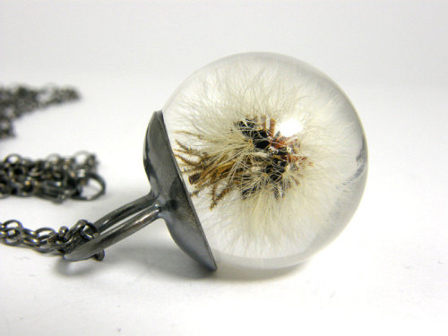 Sex waltzingmatildablog:  Dandelion pendant! pictures