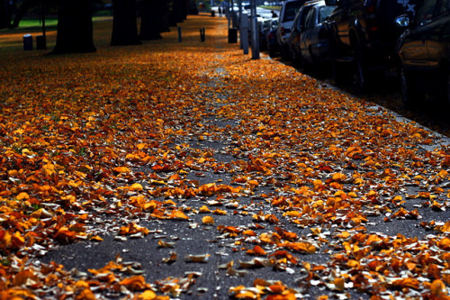 tumblr (69)