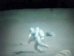 rufusmcdoofus:  ikenbot:  This is a GIF set of Astronauts falling on the Moon  i am complete