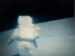 allofthefandomsaremyotp:sherlockedforwho:metatheatre:bonedust:This is a GIF set of Astronauts fallin