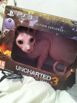 typette:  lotophage:  I received my Uncharted