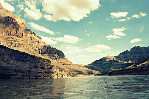 dirteedan.tumblr.com/post/20637907327/