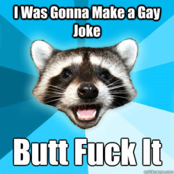 thedailymeme:  Lame Pun Coon 