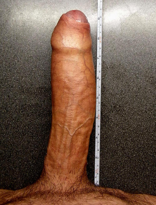 measuredick-blog:  24cm