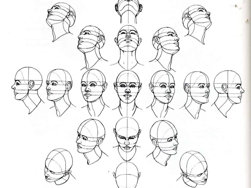 The Ultimate Guide to Drawing the Turned Head | Loomis Method |  Step-by-step Tutorial for Beginners — amiko simonetti