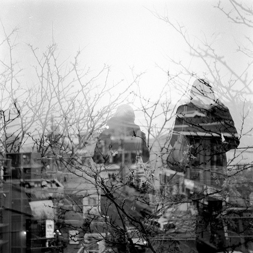 black-and-white:  somewhere (by Julie Lavelle) 