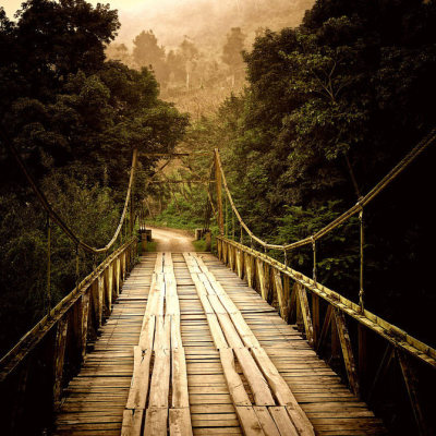 llbwwb:
“Hanging Wooden Bridge (via Smashing Picture)
”