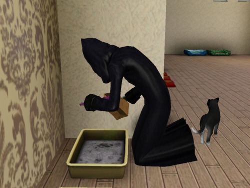 kattdogg:biococks:wowgay:my cat died and then the grim reaper decided to clean the litterboxhow cons